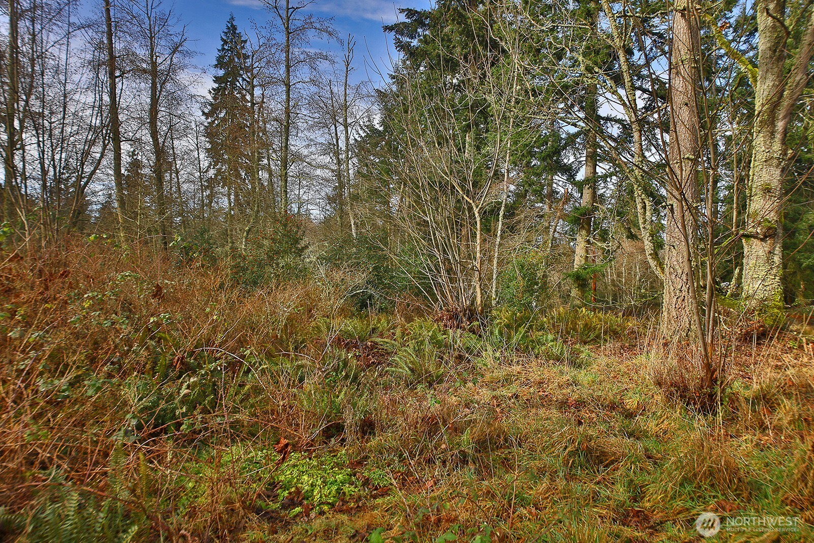 0 East Goss Lake Road Freeland, WA 98249 - Photo 4 of 18 a view of a yard of a house with a tree