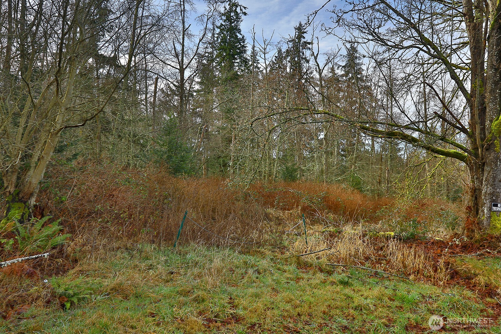 0 East Goss Lake Road Freeland, WA 98249 - Photo 6 of 18 a view of a lake with lots of trees