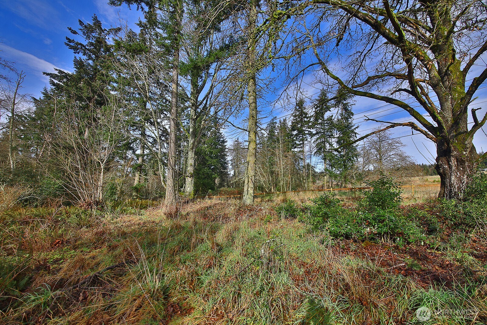0 East Goss Lake Road Freeland, WA 98249 - Photo 8 of 18 a backyard of a house with lots of green space