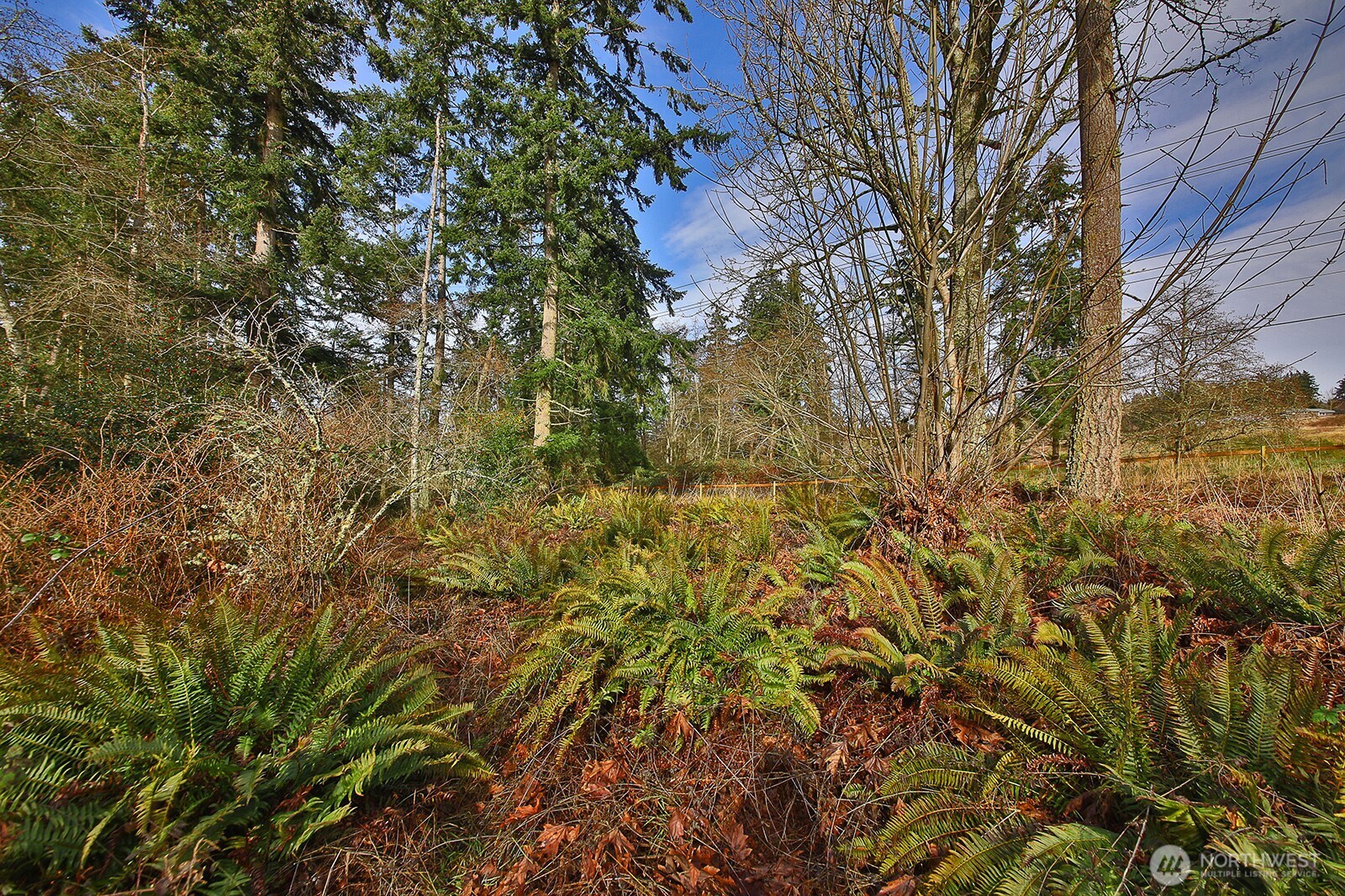 0 East Goss Lake Road Freeland, WA 98249 - Photo 9 of 18 a view of a yard of a house
