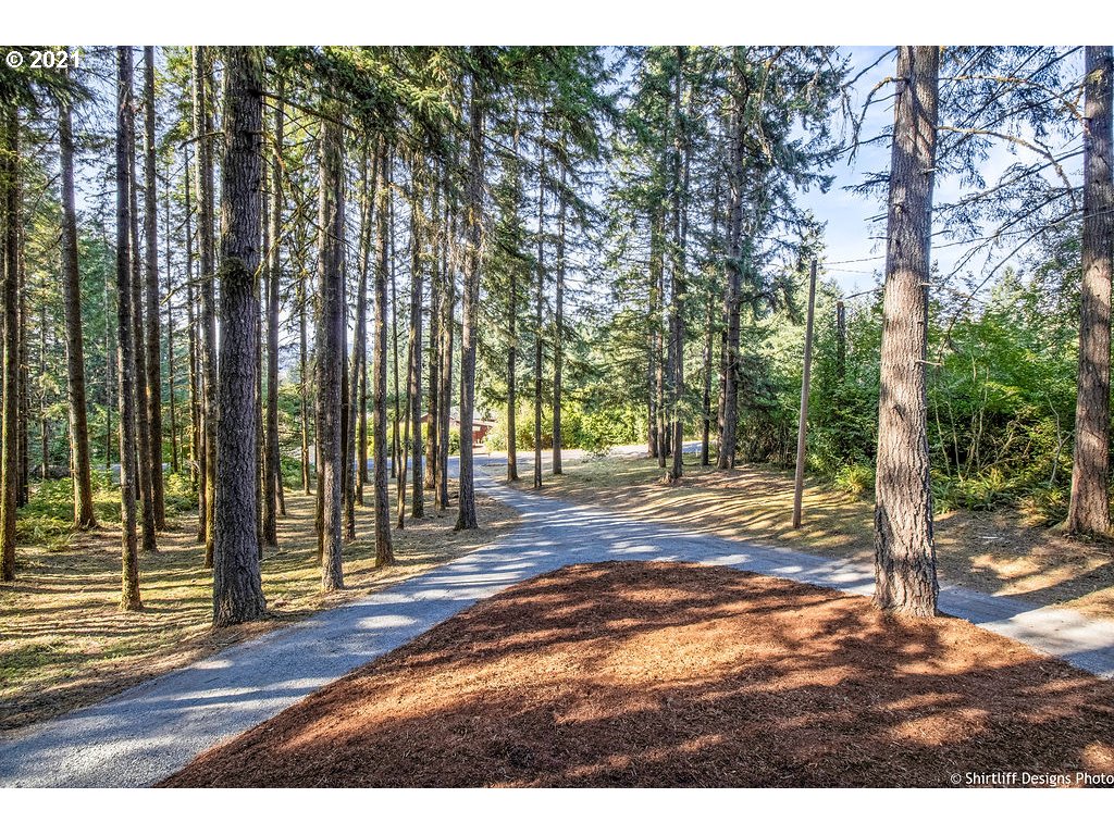 40028 Booth Kelly Road Springfield, OR 97478 - Photo 3 of 31 a view of a backyard with trees