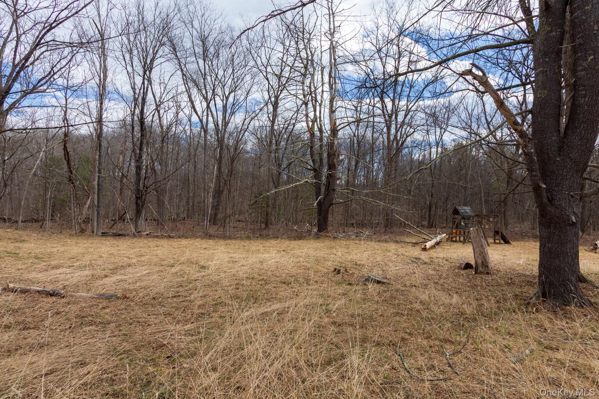 1504 Red Mill Road Greenville, NY 12083 - Photo 29 of 39