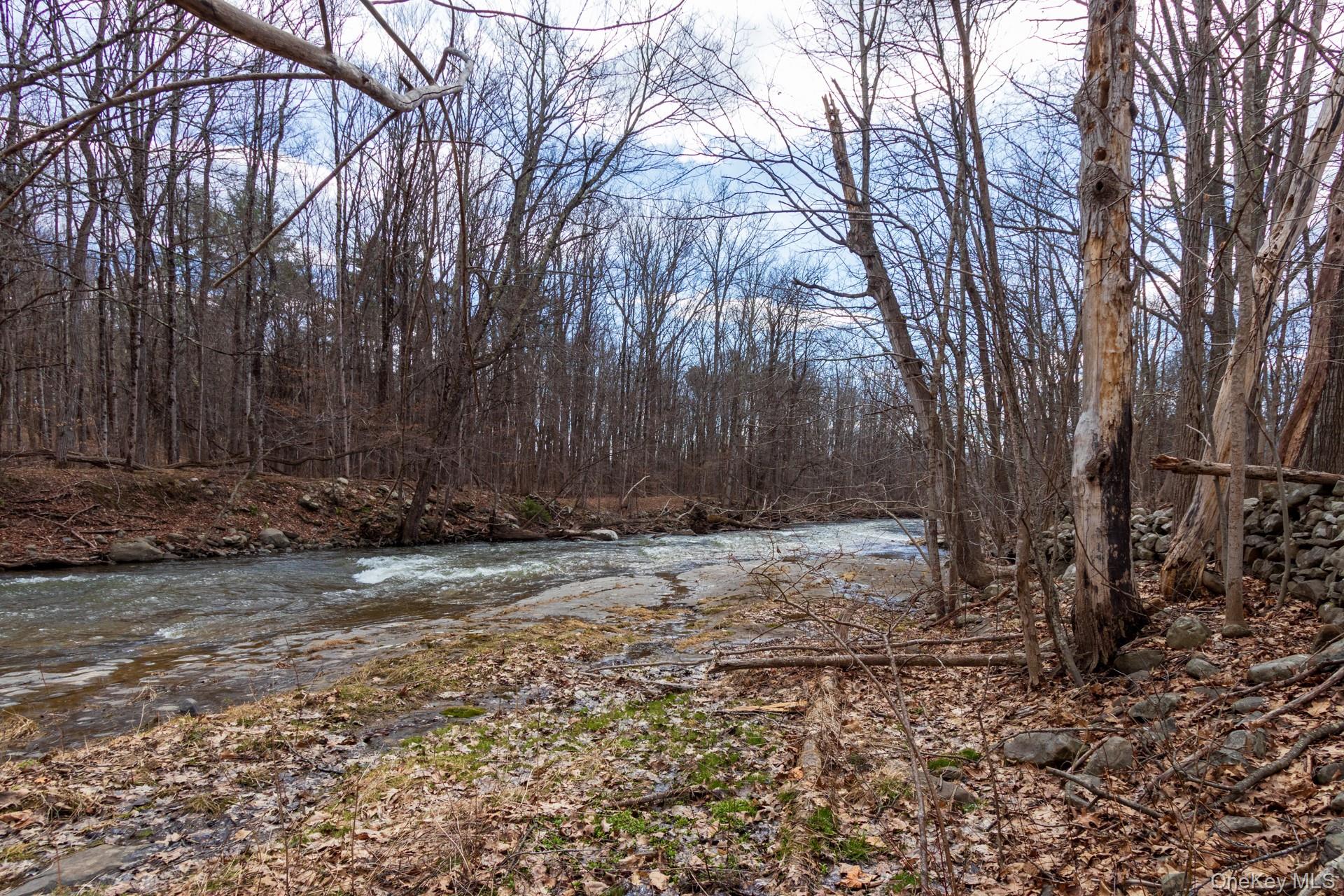 1504 Red Mill Road Greenville, NY 12083 - Photo 30 of 39