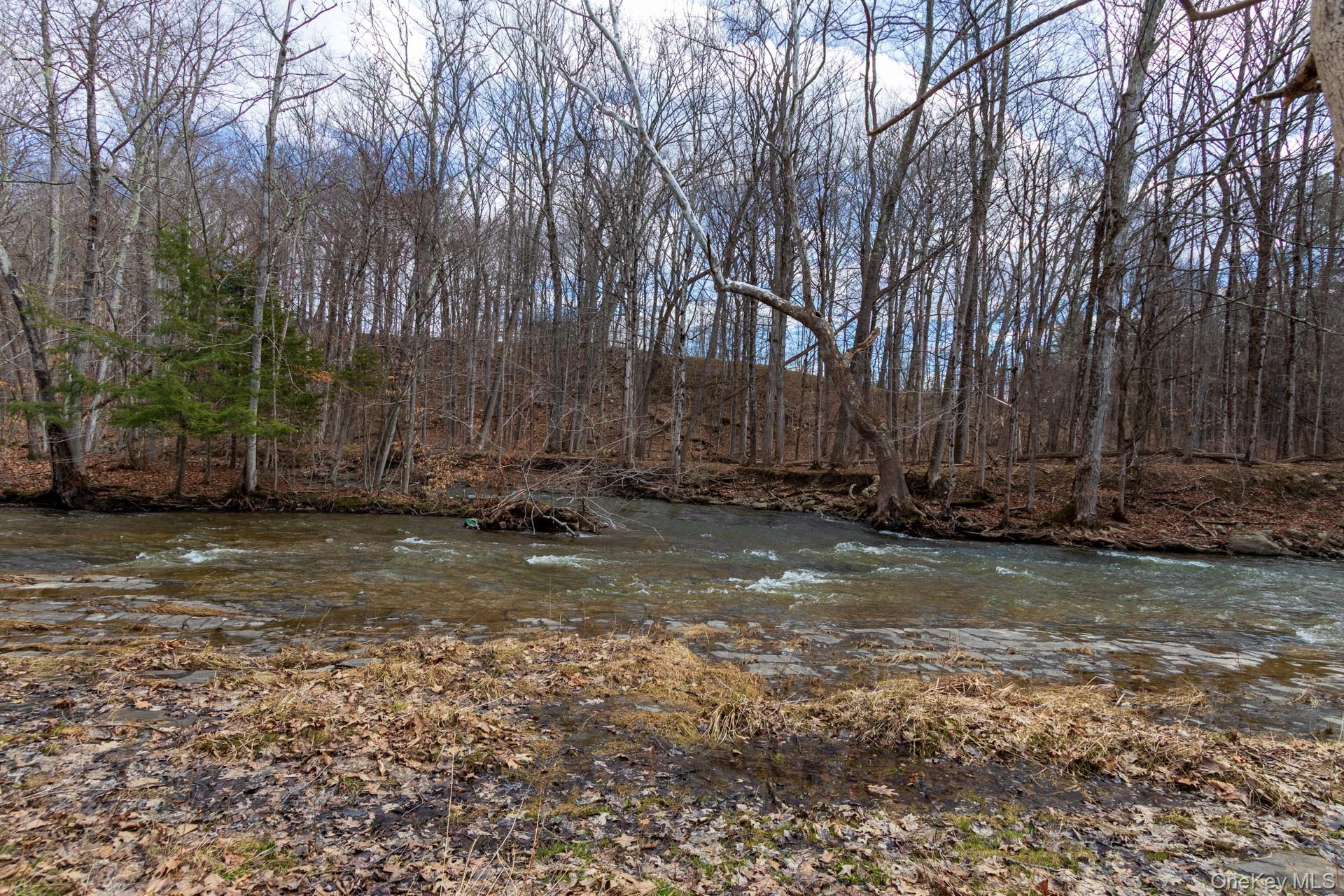 1504 Red Mill Road Greenville, NY 12083 - Photo 31 of 39