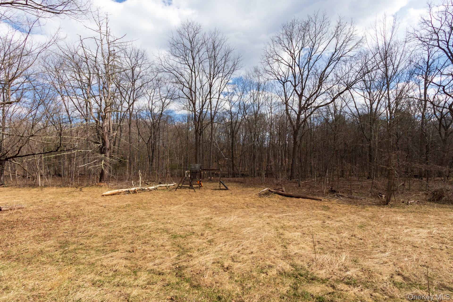 1504 Red Mill Road Greenville, NY 12083 - Photo 33 of 39