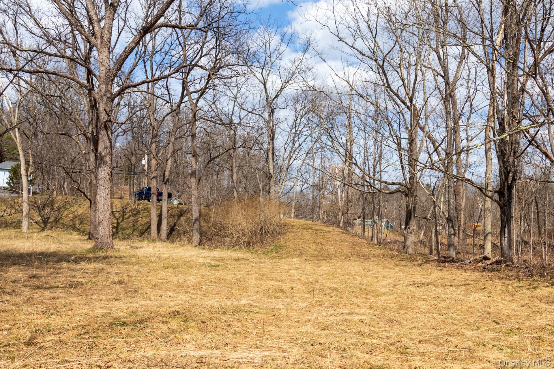 1504 Red Mill Road Greenville, NY 12083 - Photo 35 of 39