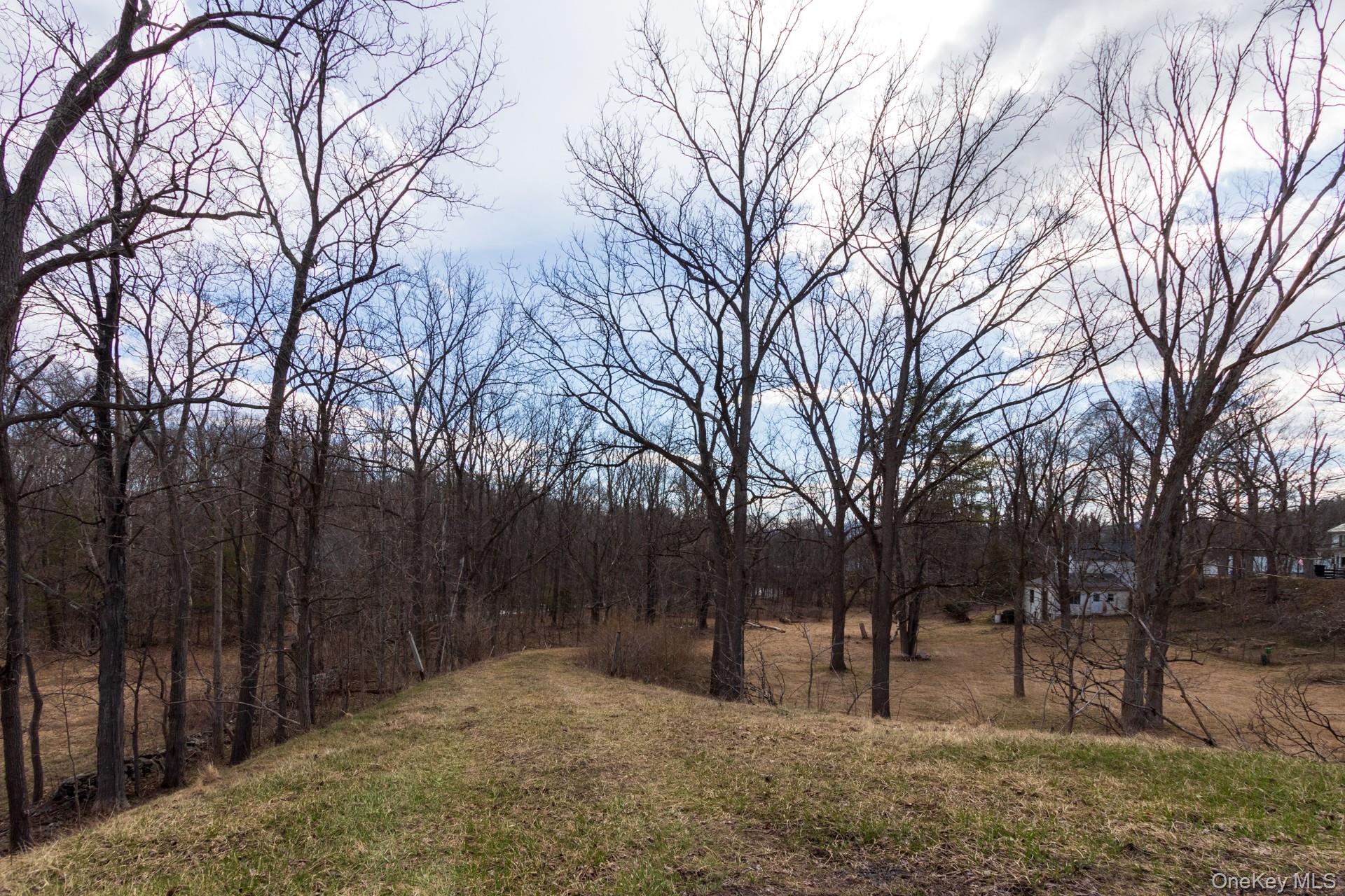 1504 Red Mill Road Greenville, NY 12083 - Photo 36 of 39