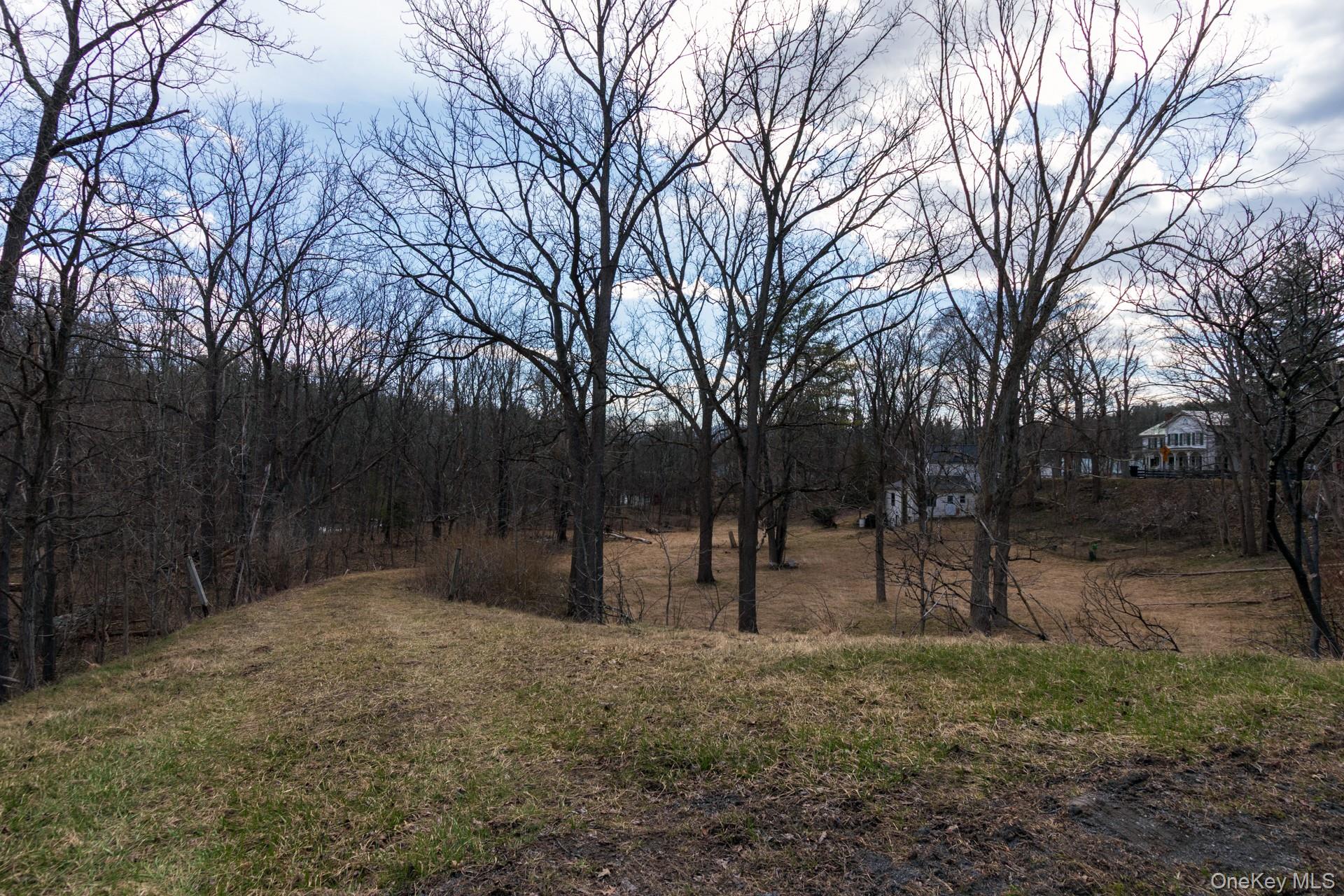 1504 Red Mill Road Greenville, NY 12083 - Photo 37 of 39