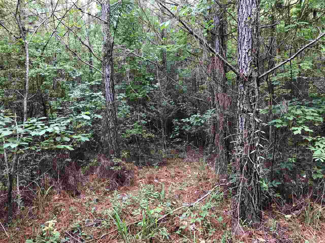0 Gumsprings Road Braxton, MS 39044 - Photo 10 of 20 Photo 10
