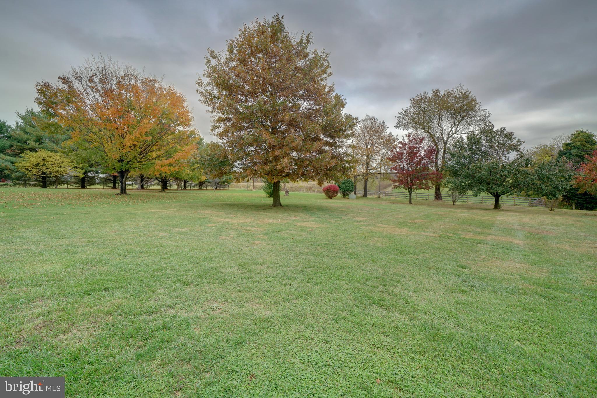 18560 Windsor Forest Road Mount Airy, MD 21771 - Photo 4 of 63 front yard