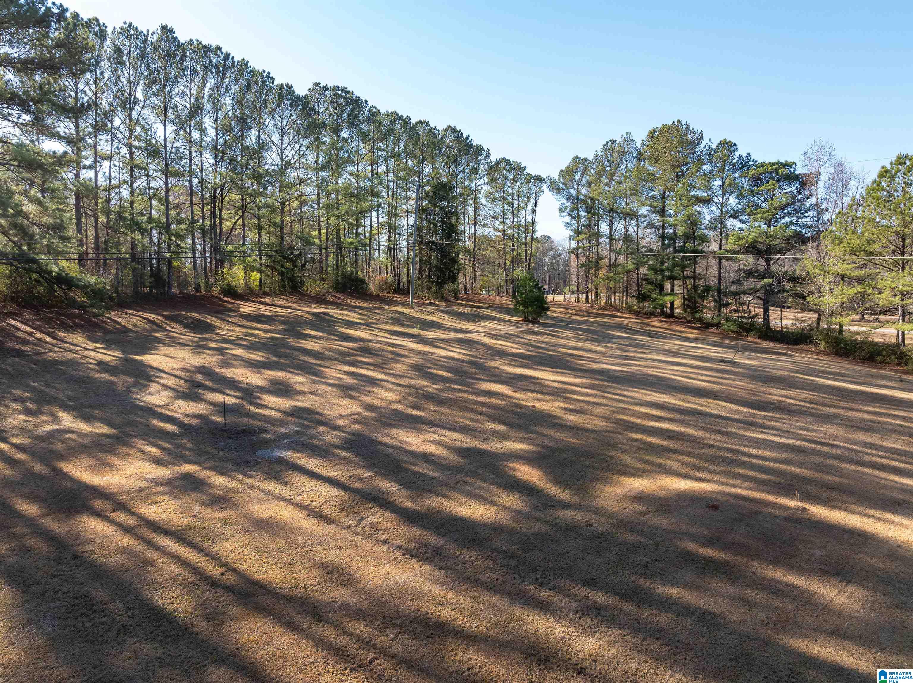 3342 County Road 39 Chelsea, AL 35043 - Photo 60 of 63