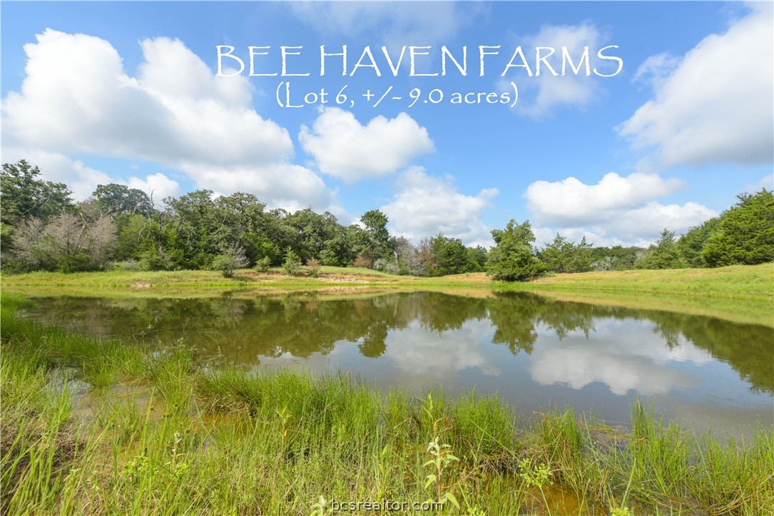 315 (9 05 Acres) Caldwell Tx  