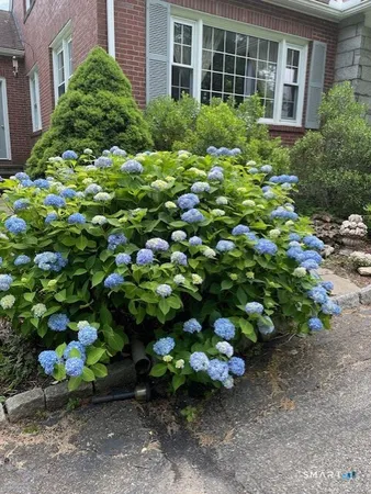 a view of a golf course with an outdoor space