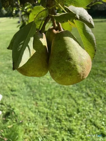 $485,000 | 1769 Goshen Road, Torrington, CT 06790