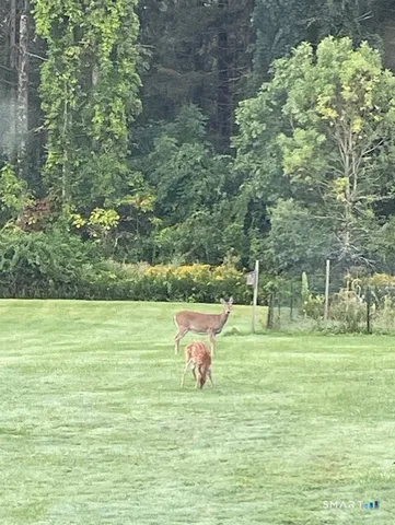 $485,000 | 1769 Goshen Road, Torrington, CT 06790