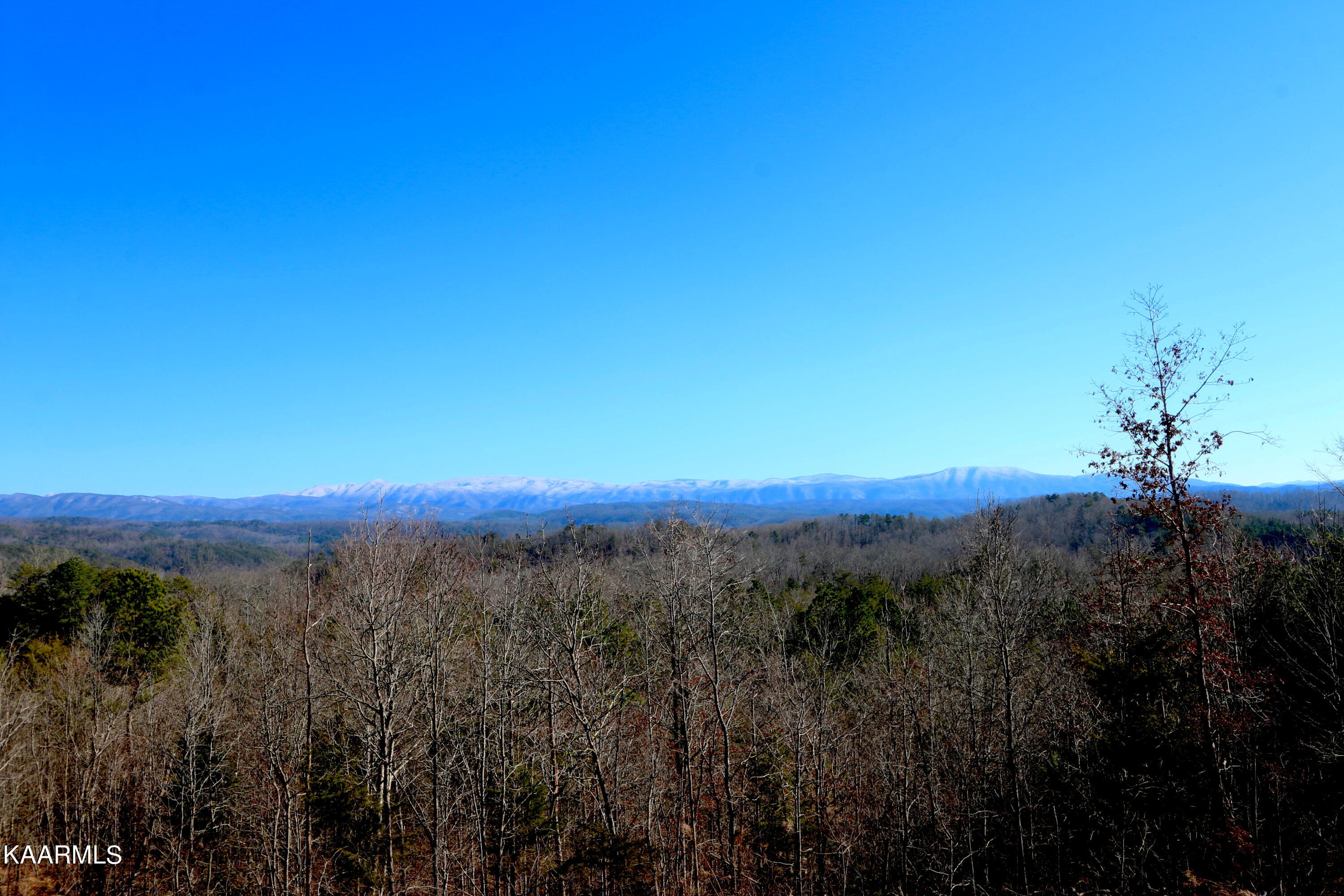14 Bill Moser Road Vonore, TN 37885 - Photo 1 of 19 IMG_0279