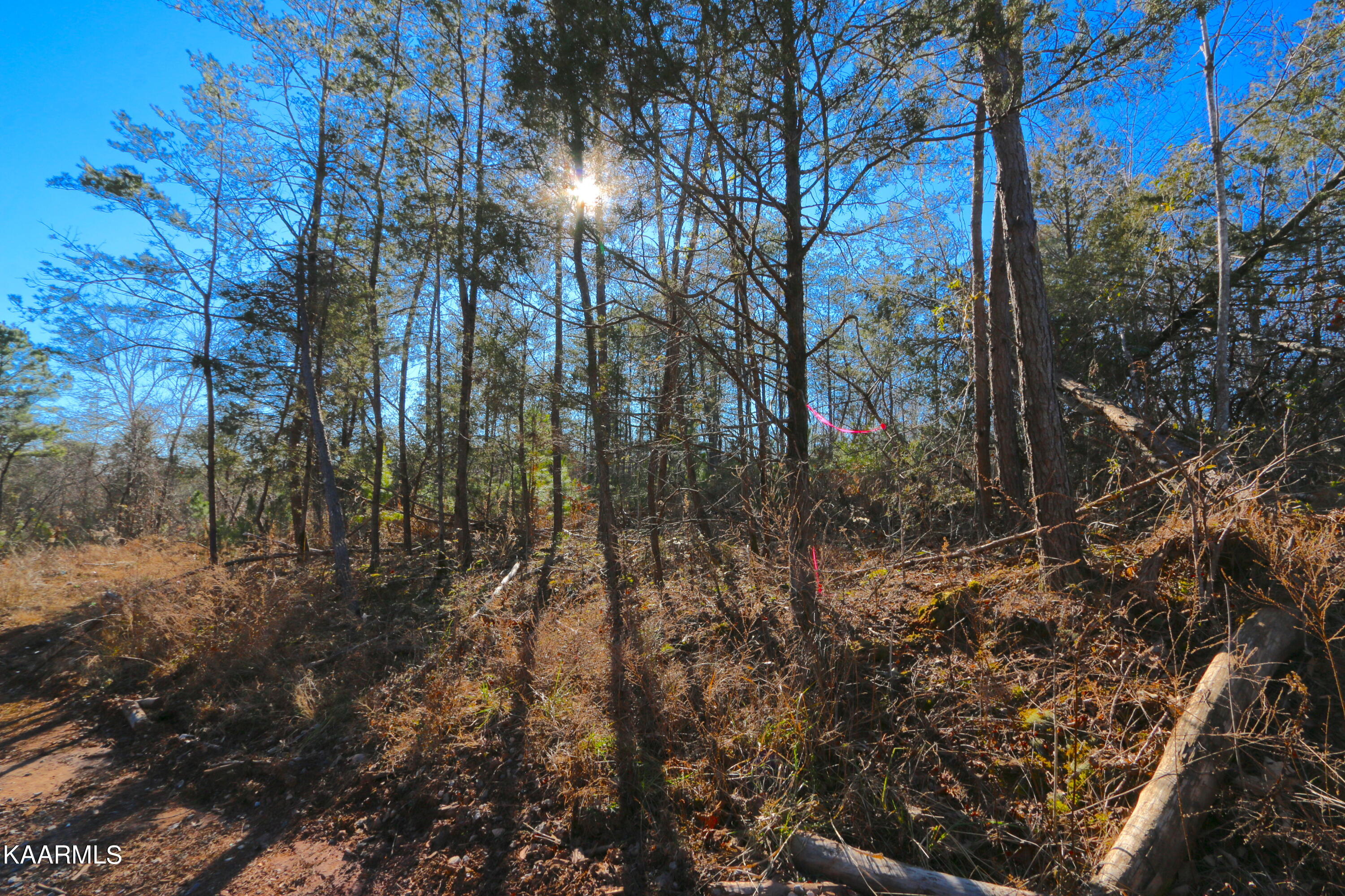 14 Bill Moser Road Vonore, TN 37885 - Photo 11 of 19 IMG_0314