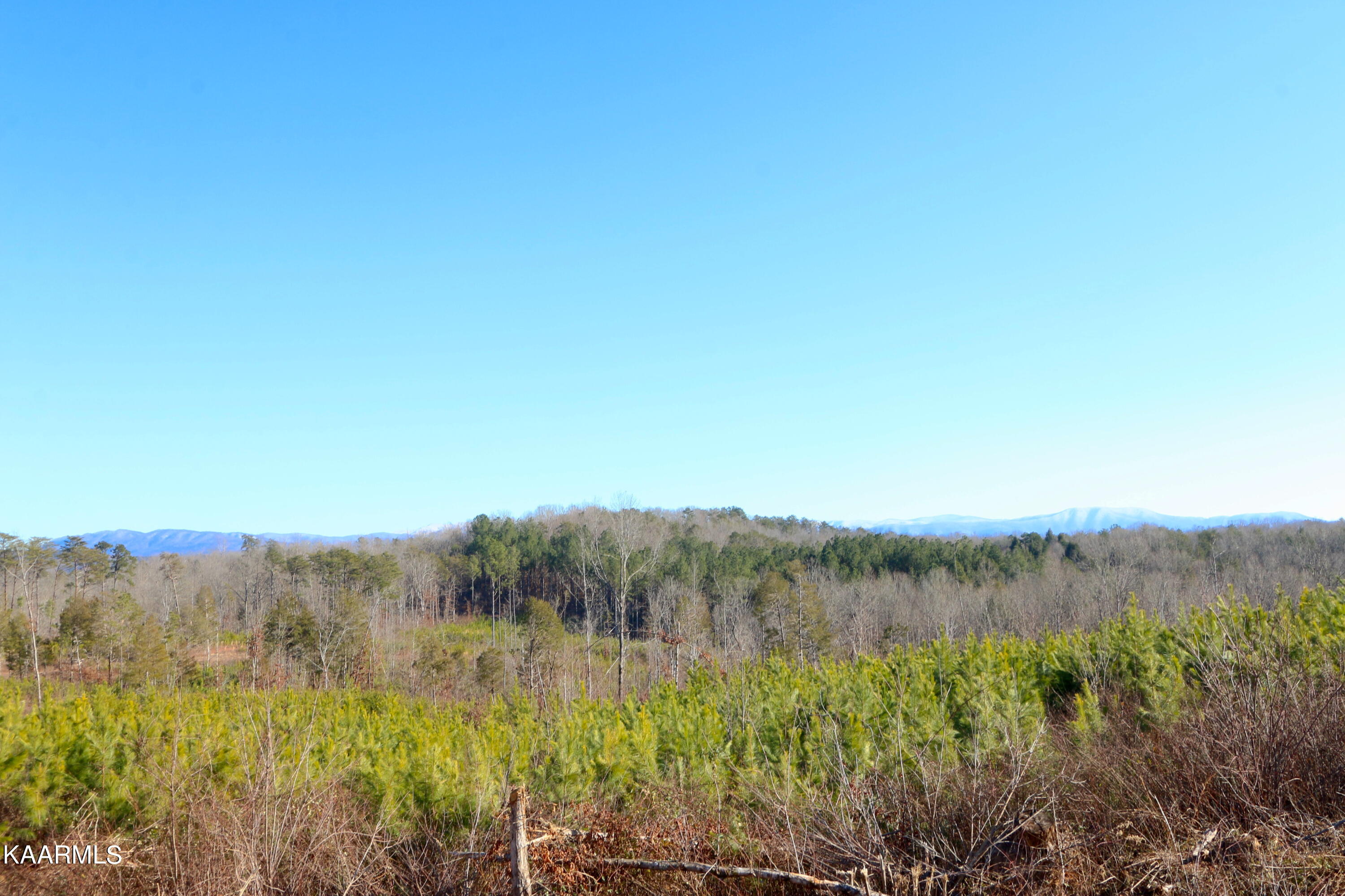 14 Bill Moser Road Vonore, TN 37885 - Photo 12 of 19 IMG_0328