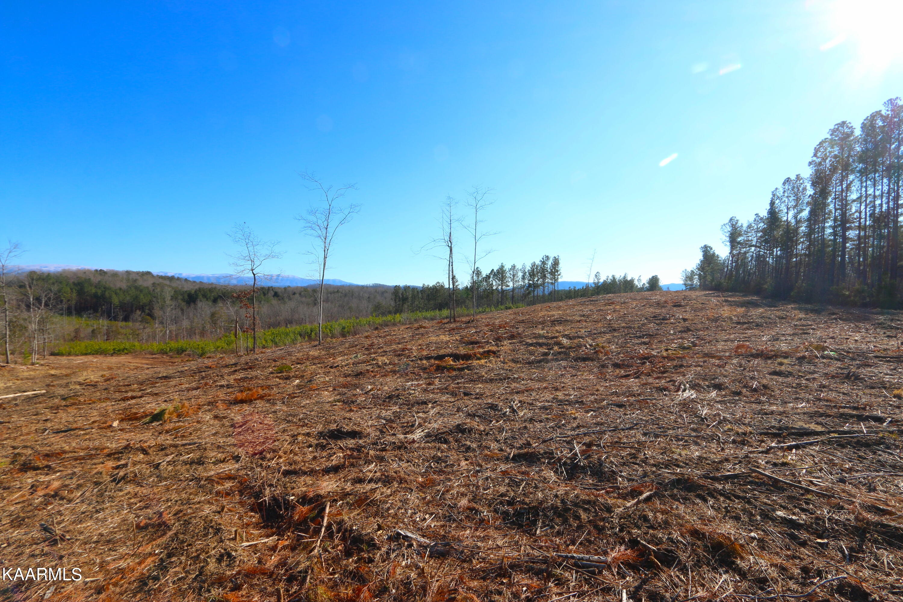 14 Bill Moser Road Vonore, TN 37885 - Photo 14 of 19 IMG_0340