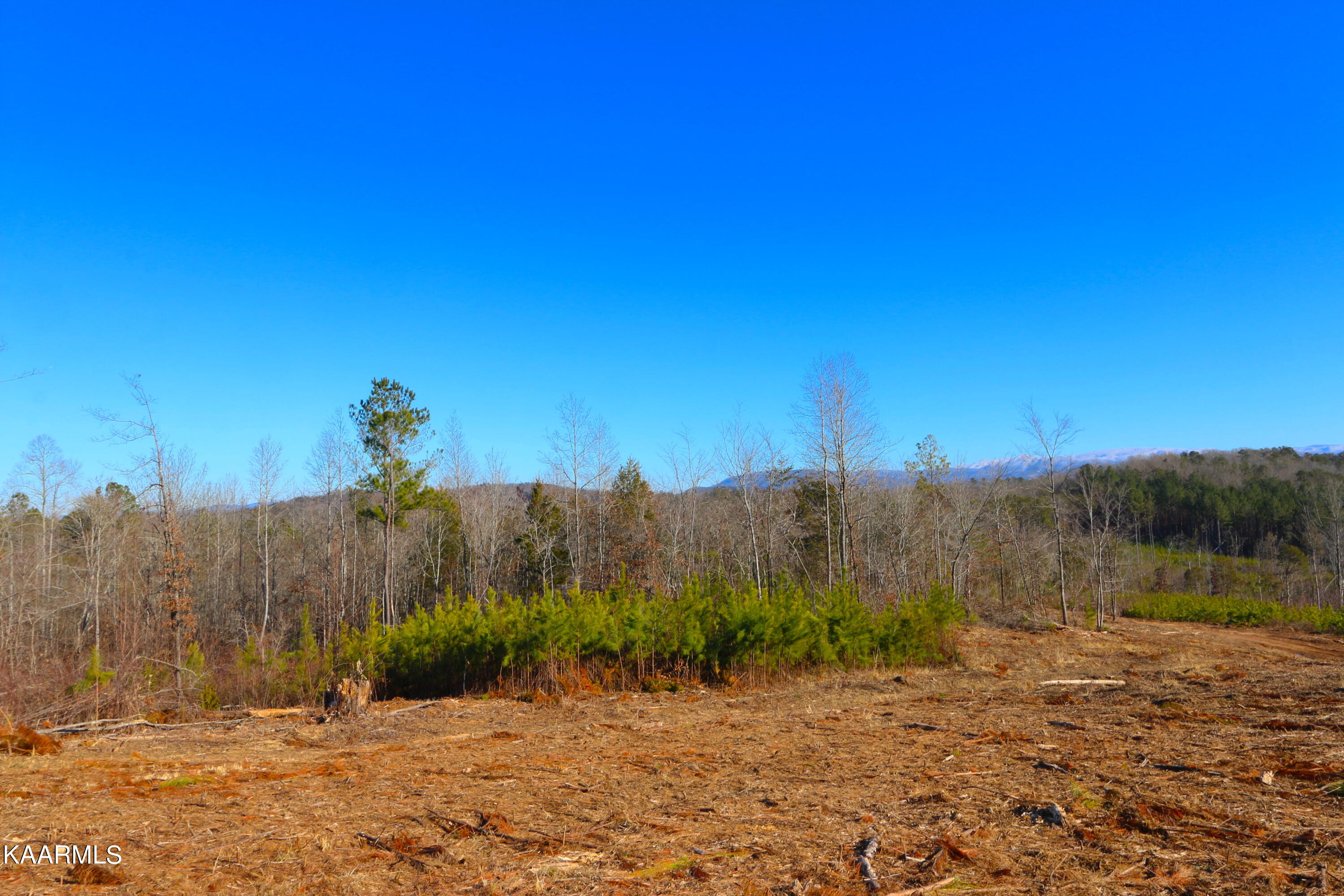 14 Bill Moser Road Vonore, TN 37885 - Photo 15 of 19 IMG_0341