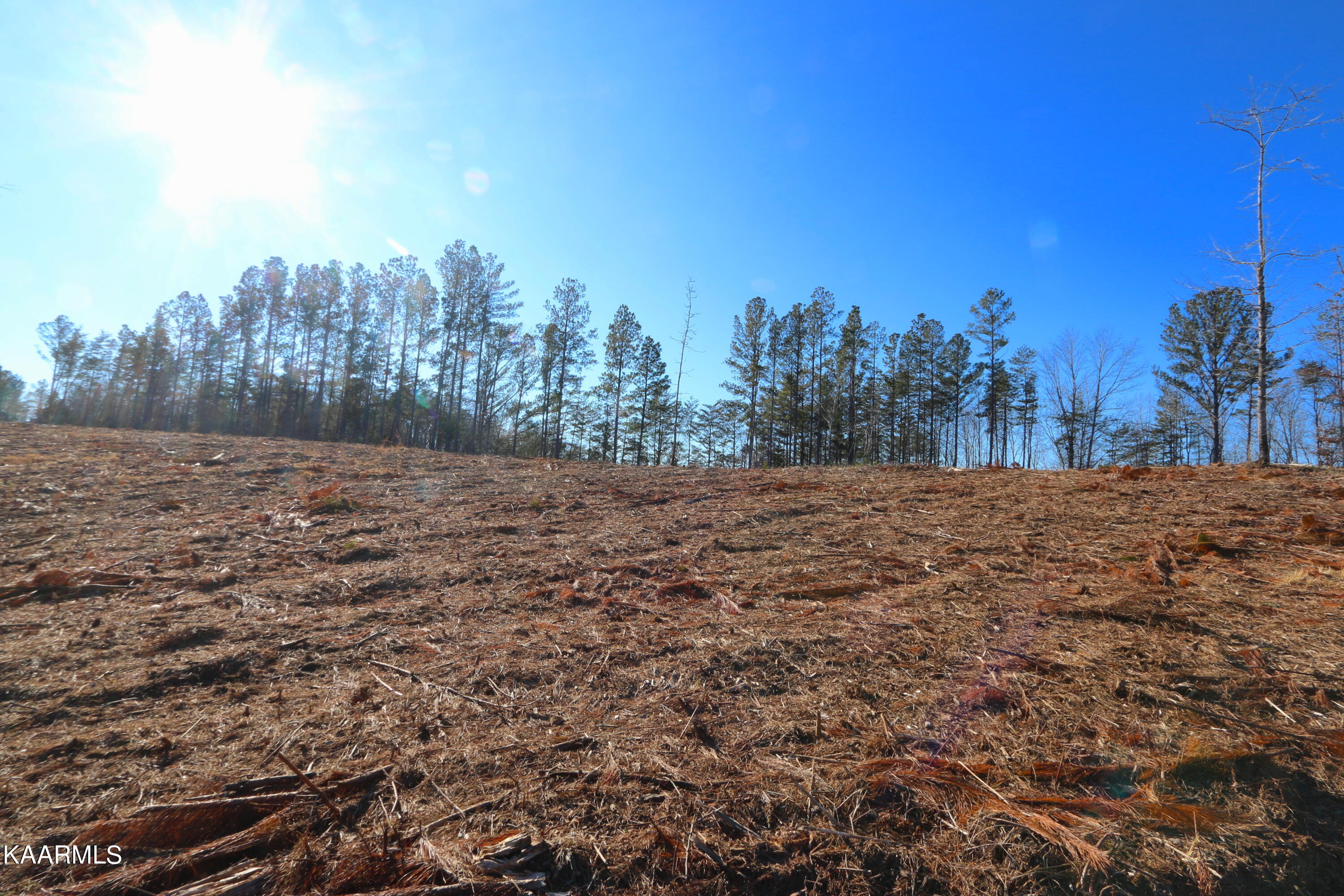 14 Bill Moser Road Vonore, TN 37885 - Photo 16 of 19 IMG_0343