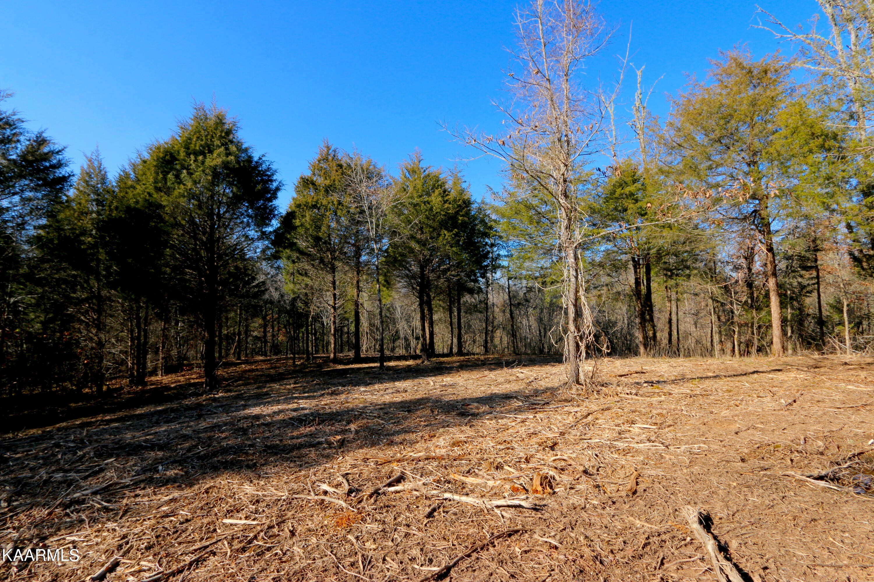 14 Bill Moser Road Vonore, TN 37885 - Photo 7 of 19 IMG_0308