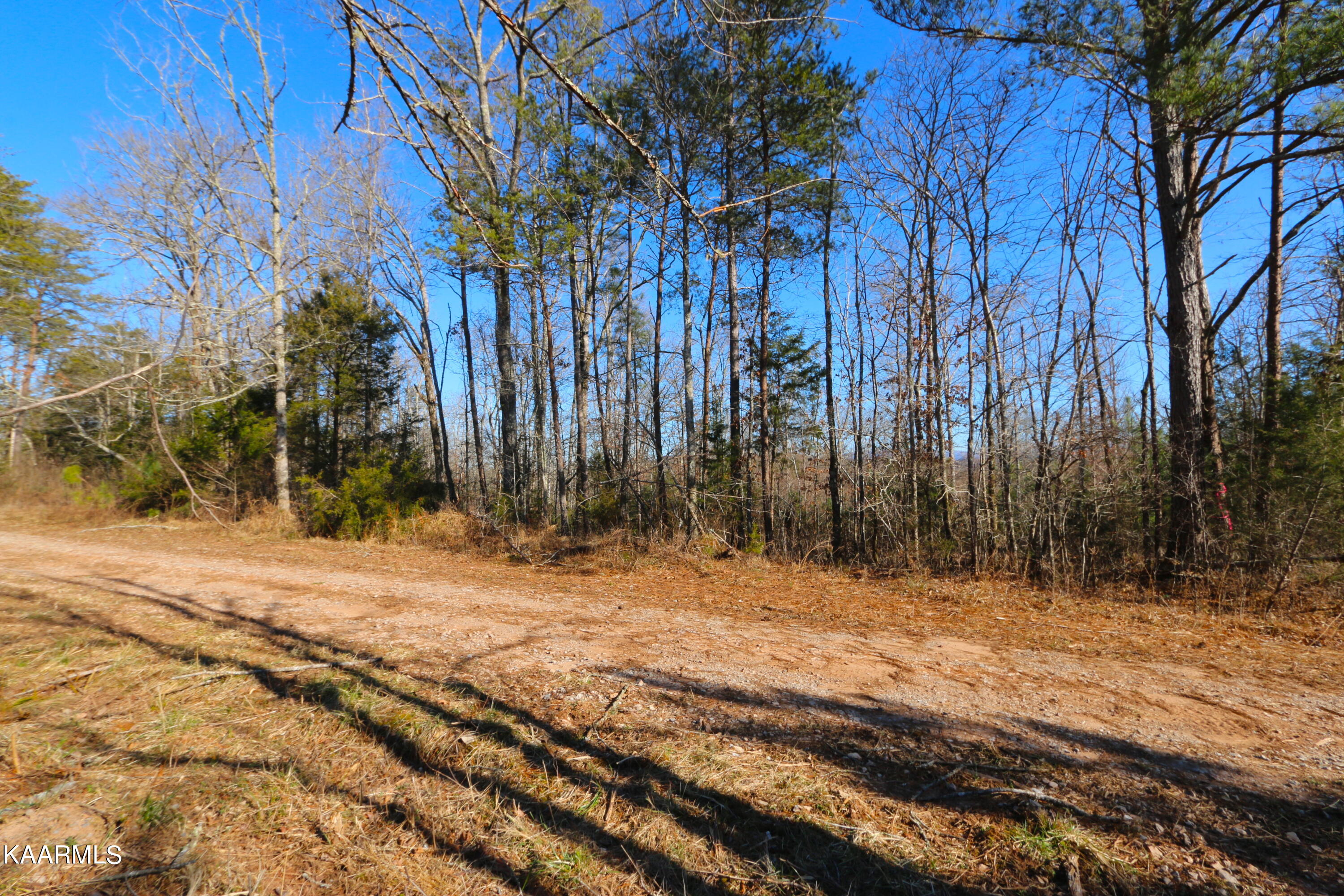 14 Bill Moser Road Vonore, TN 37885 - Photo 8 of 19 IMG_0310