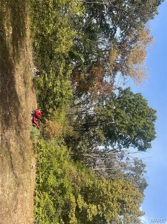 5695 Hill View Drive Pacific, MO 63069 - Photo 19 of 20