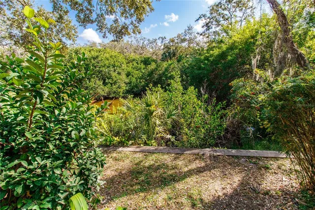 a view of a plants with yard