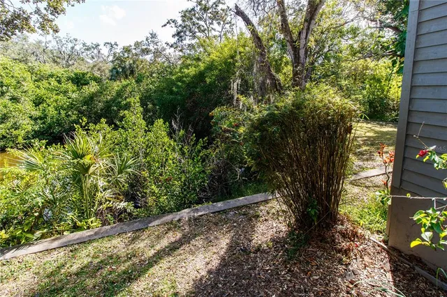 a view of a yard with plants and trees