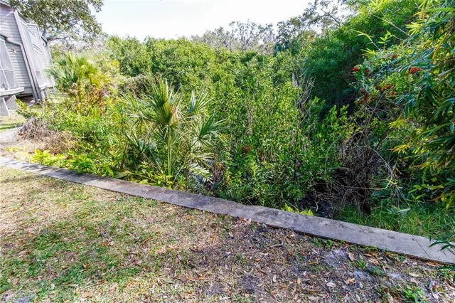 a view of a yard with plants and wooden fence