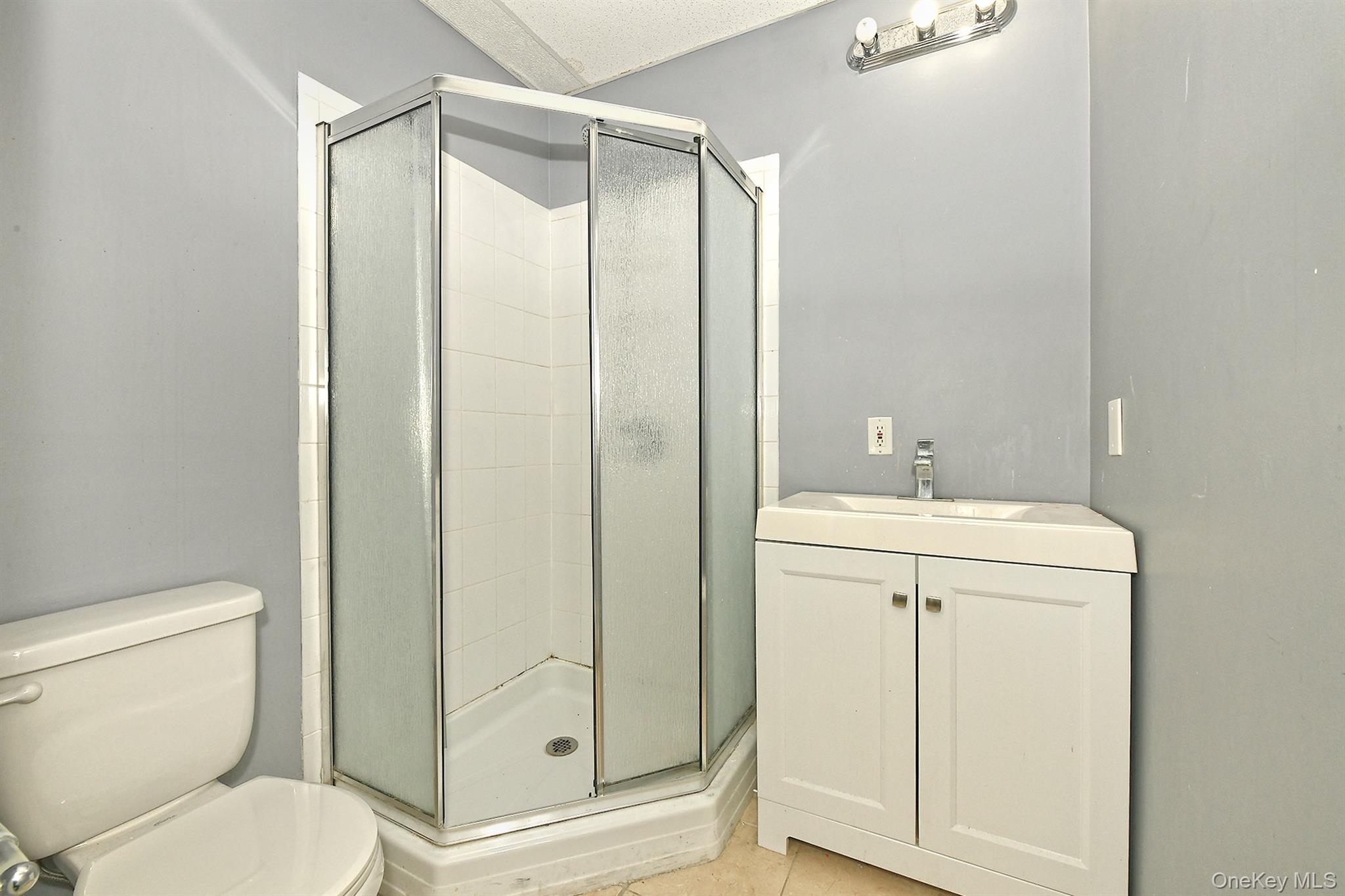 86 Horton Place Syosset, NY 11791 - Photo 12 of 22 a bathroom with a shower sink vanity and toilet