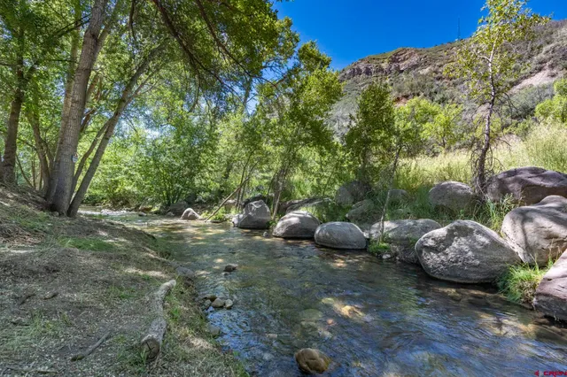 a view of a backyard with large trees and plants