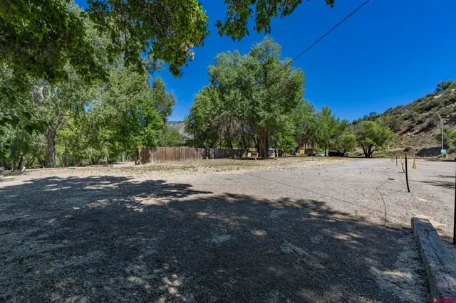 a view of road with large trees