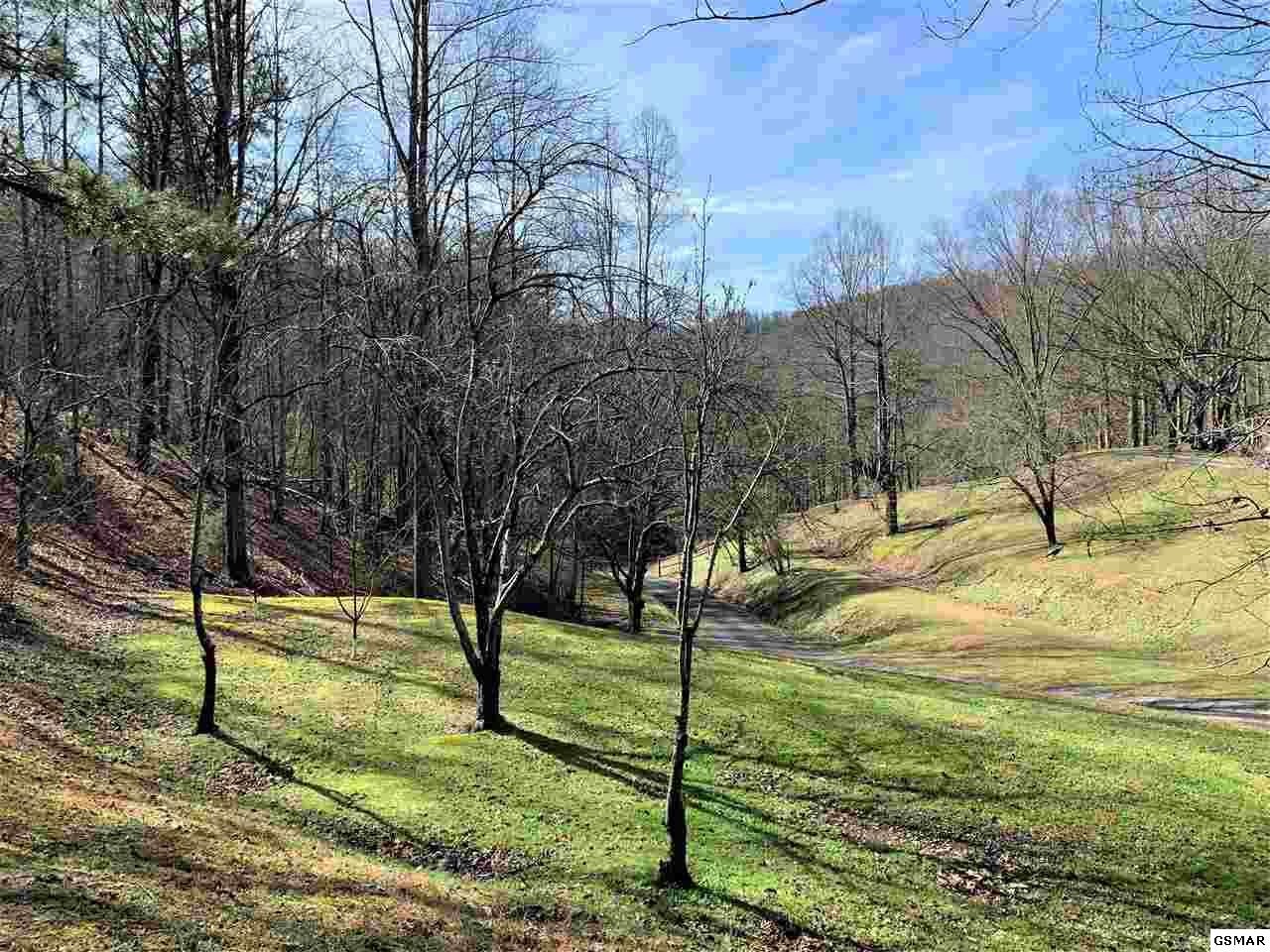 933 Caney Creek Road Sevierville, TN 37863 - Photo 24 of 36