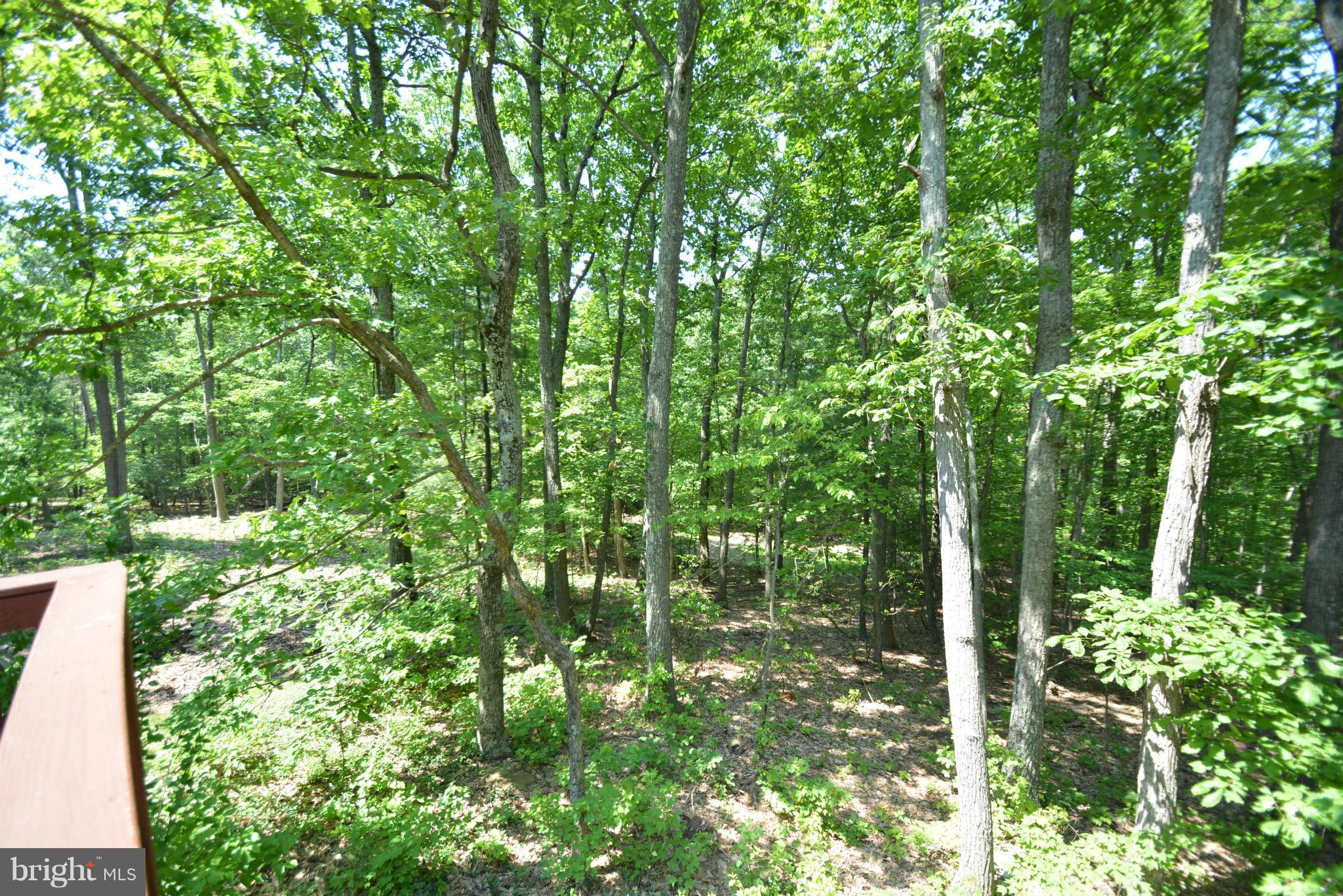 9386 Mountjoy Road Marshall, VA 20115 - Photo 16 of 18 View