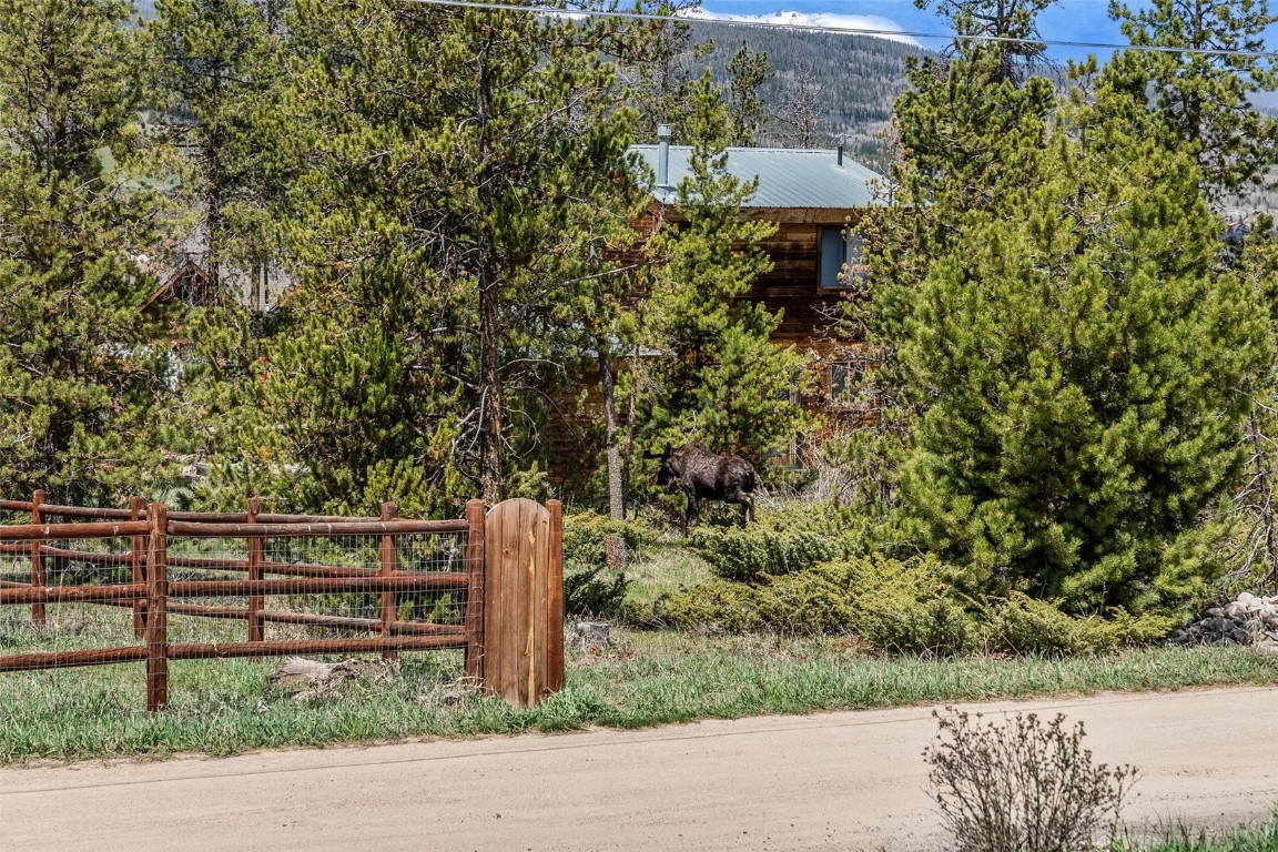 367 G Road Silverthorne, CO 80498 - Photo 48 of 50 a backyard of a house with lots of green space
