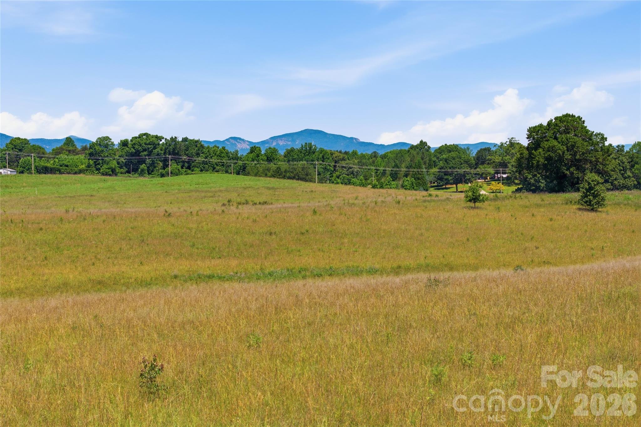 Lot 3 High Meadows Dr Mill Spring Mill Spring, NC 28756 - Photo 26 of 31