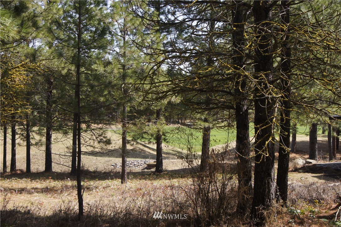 491 Rocking Chair Road Cle Elum, WA 98922 - Photo 4 of 17 Gallery Image 4