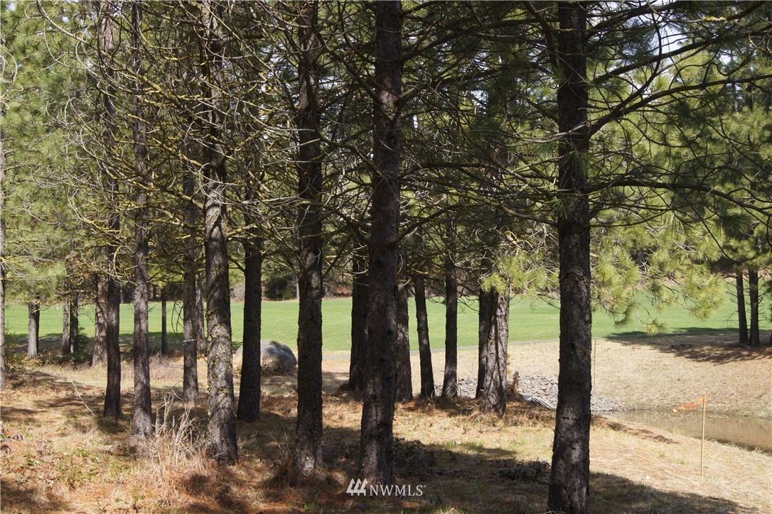 491 Rocking Chair Road Cle Elum, WA 98922 - Photo 6 of 17 Gallery Image 6
