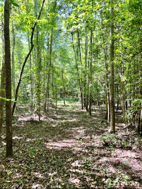 691 Asaville School Road Anderson, SC 29621 - Photo 13 of 18