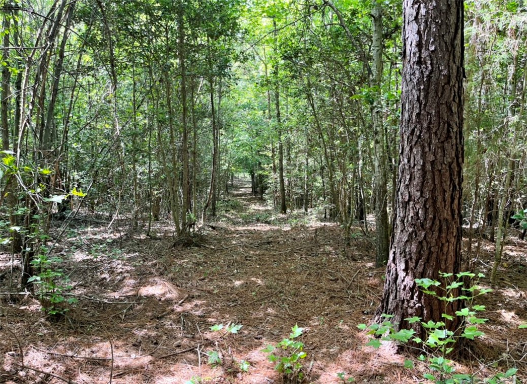 691 Asaville School Road Anderson, SC 29621 - Photo 15 of 18