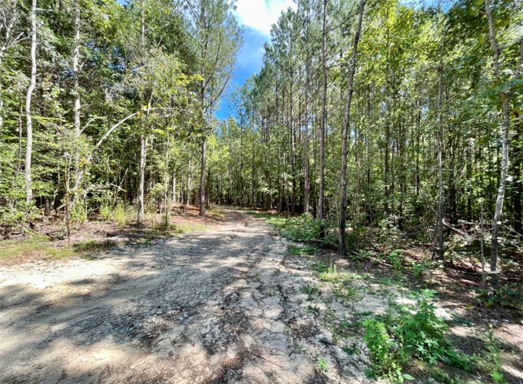 691 Asaville School Road Anderson, SC 29621 - Photo 4 of 18