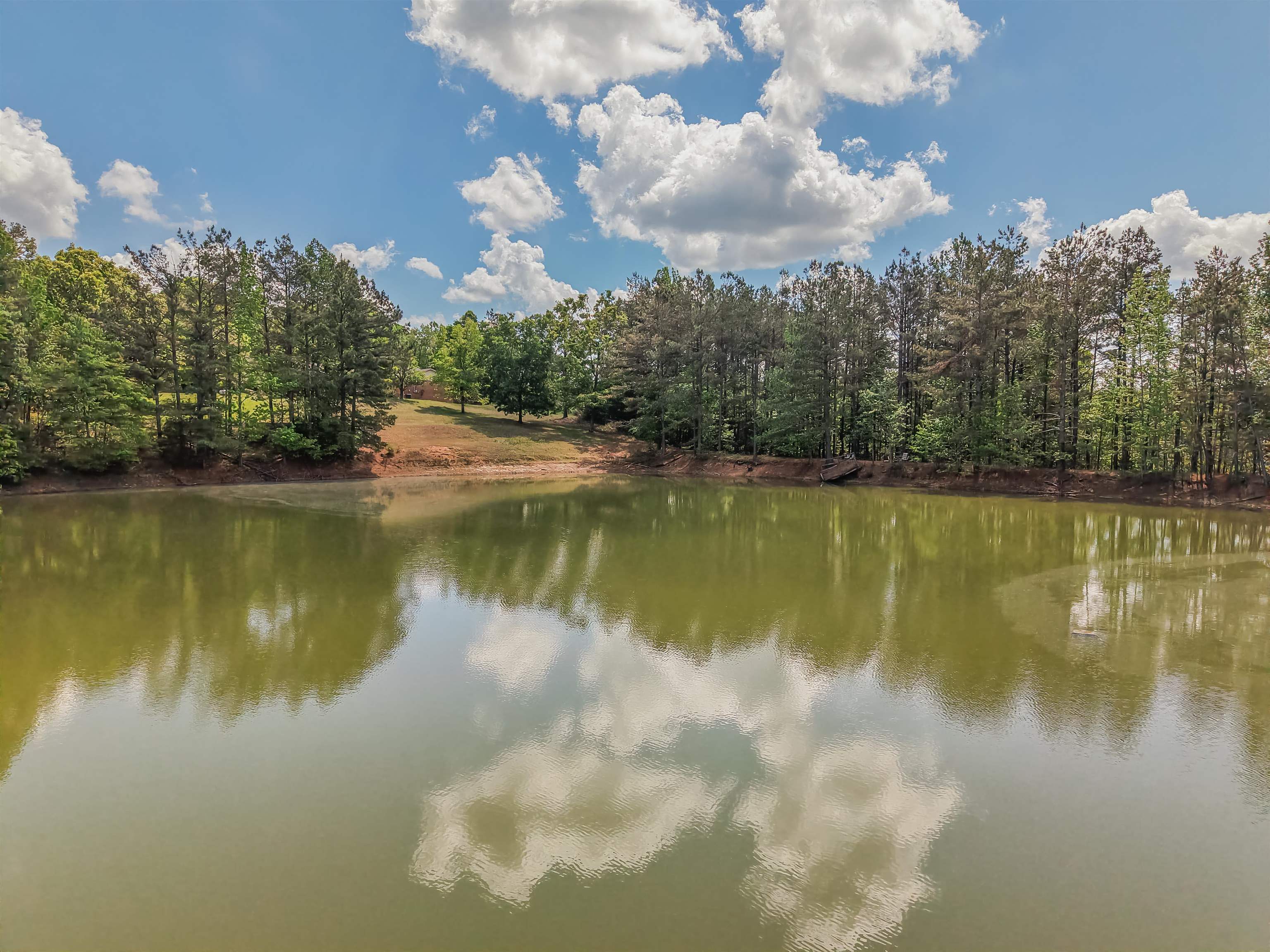 162 Lawton Road Selmer, TN 38375 - Photo 29 of 36 Natural water feature surrounded by mature trees