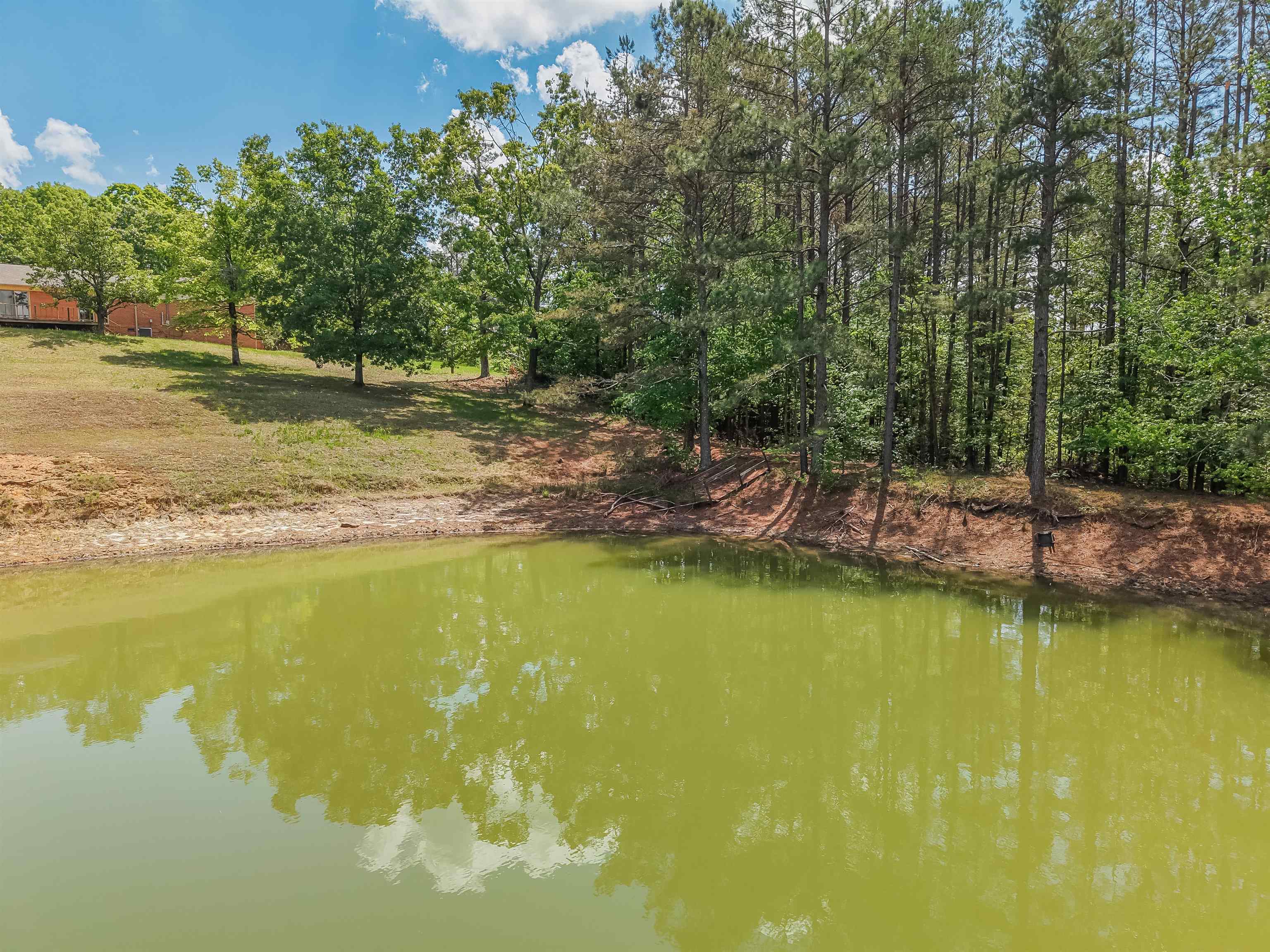 162 Lawton Road Selmer, TN 38375 - Photo 30 of 36 Private pond featuring a natural shoreline, mature trees, and an expansive grassy bank