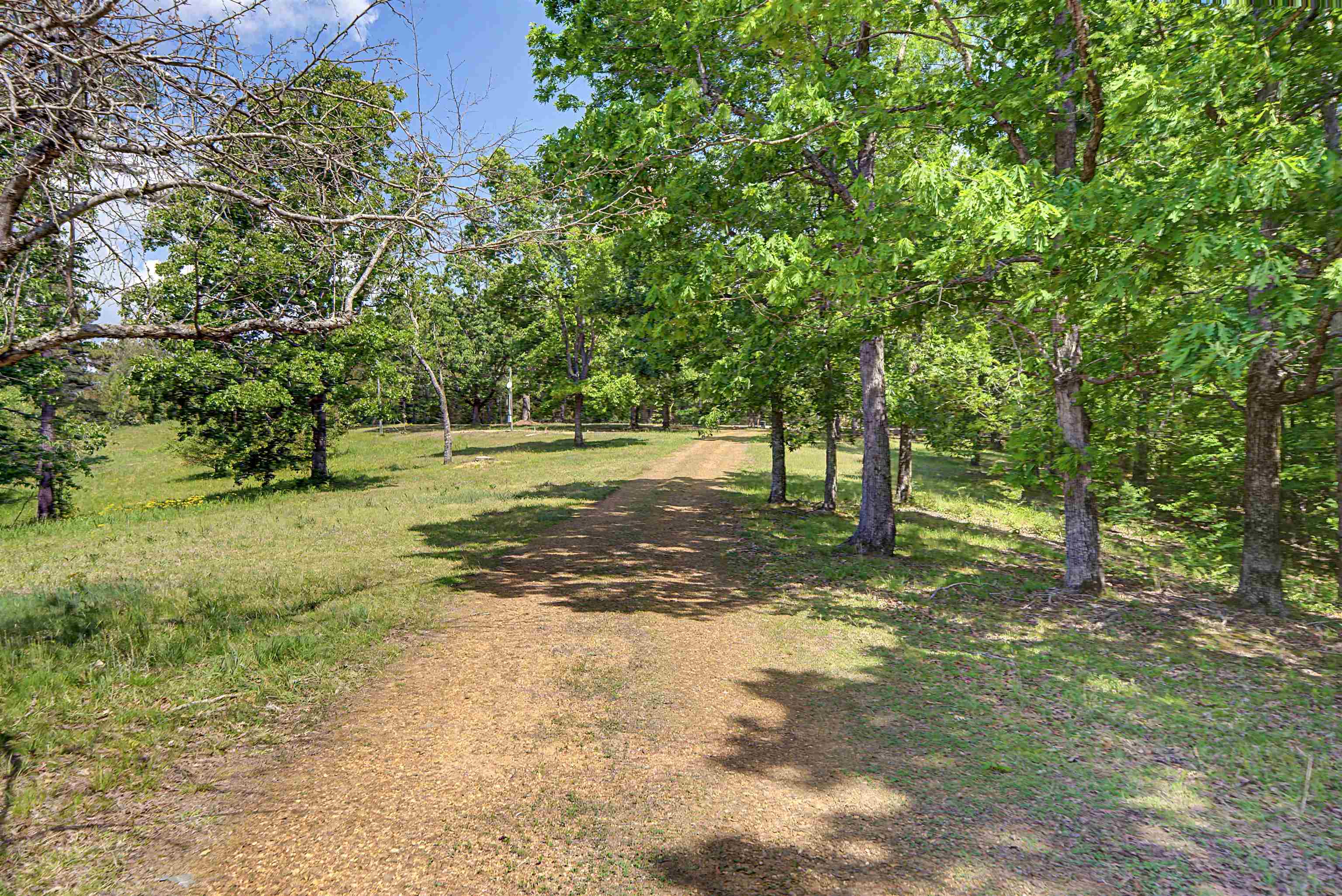 162 Lawton Road Selmer, TN 38375 - Photo 8 of 36 Gravel path surrounded by mature trees and natural landscaping
