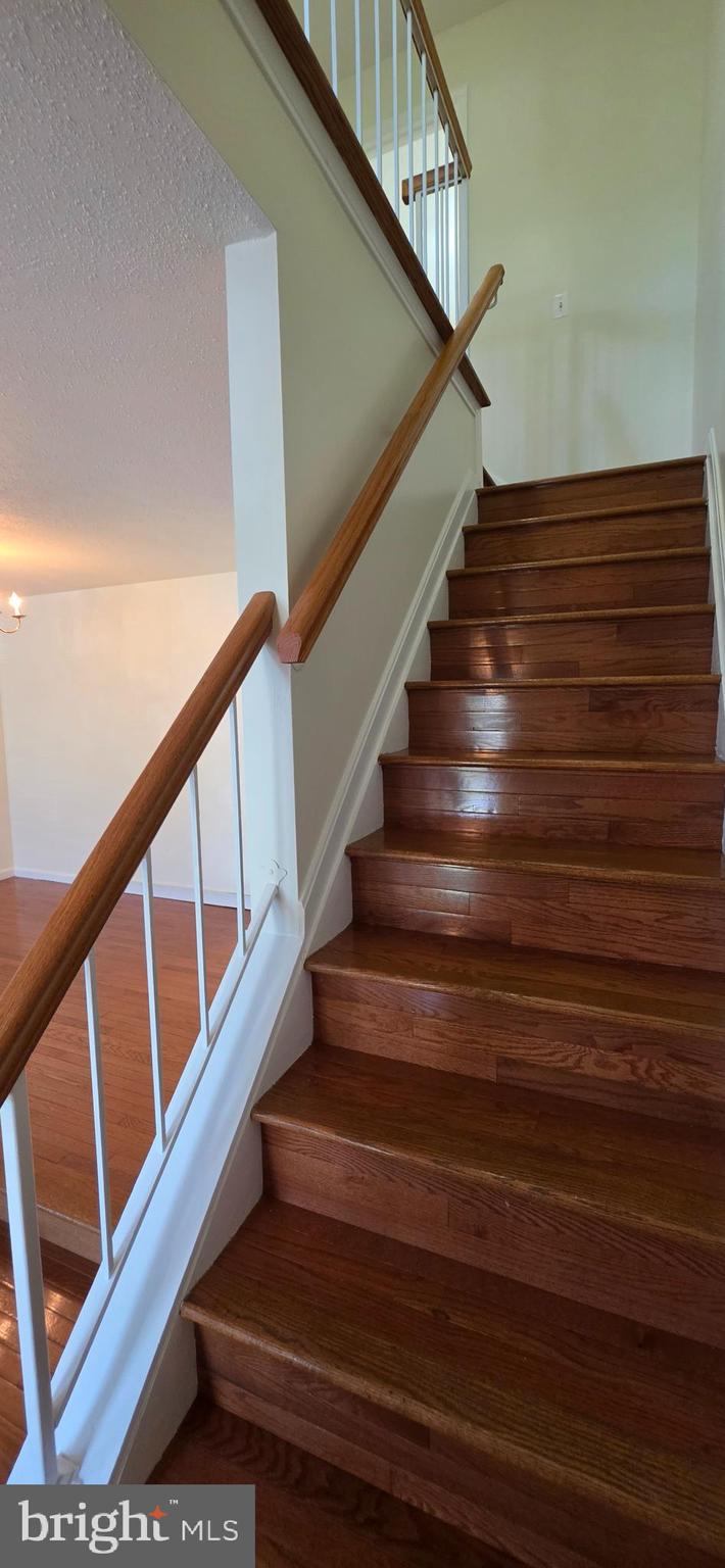 14736 McKnew Road Burtonsville, MD 20866 - Photo 12 of 37