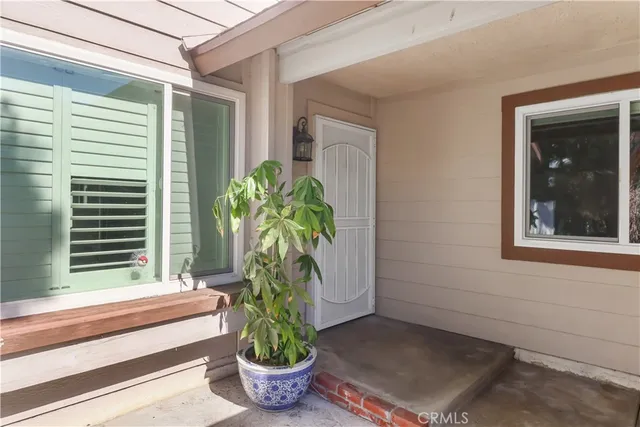 a potted plant sitting in front of a house