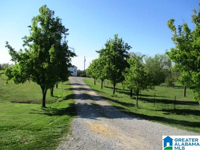 6971 Highway 24 Oneonta, AL 35121 - Photo 33 of 45