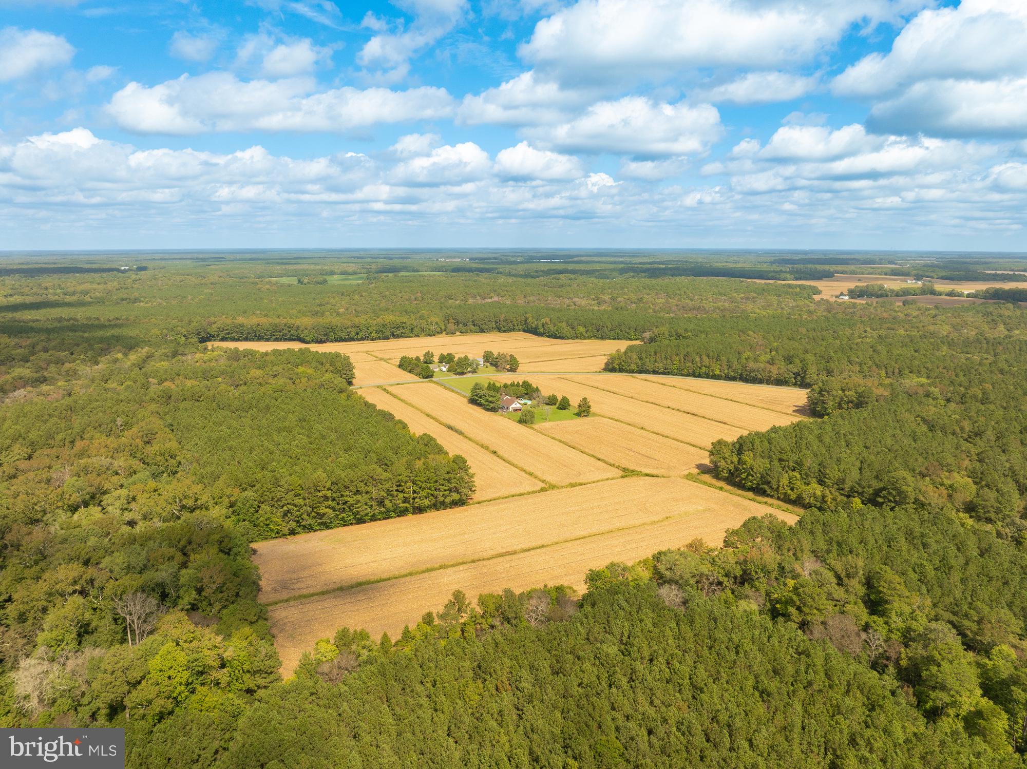 0 Bob Smith Road Parsonsburg, MD 21849 - Photo 3 of 13